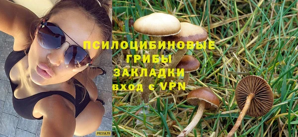 кокс Белокуриха