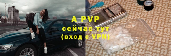 кокс Белокуриха