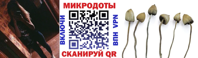 Галлюциногенные грибы мицелий  купить закладку  Краснотурьинск 